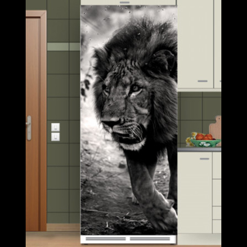 Αυτοκόλλητο ψυγείου με Λιοντάρι